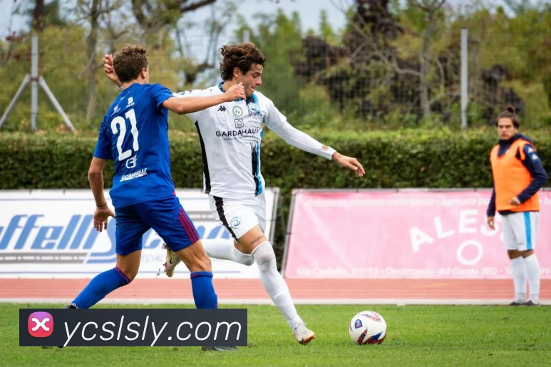 电竞数据